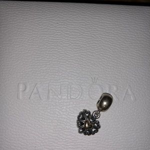 Pandora charm